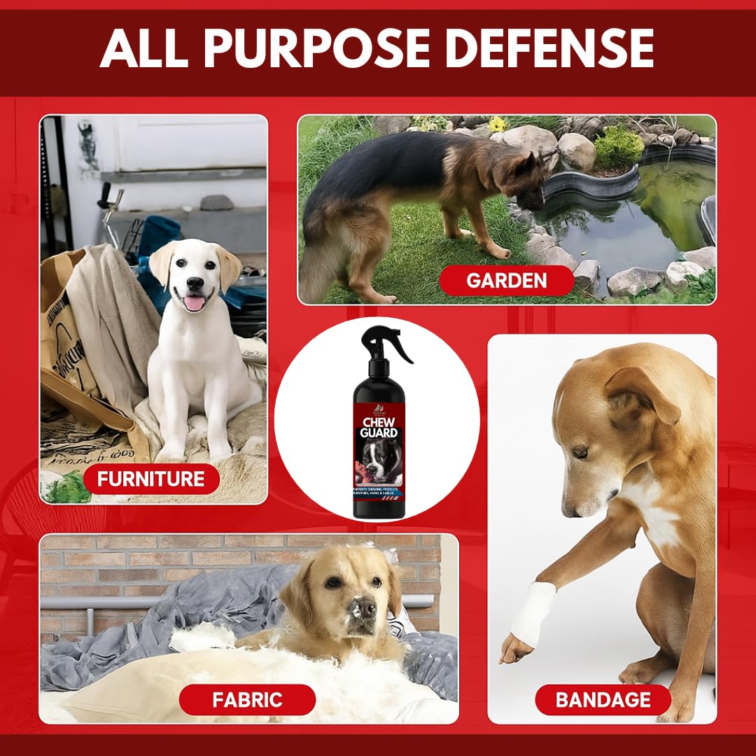 Zooflair Premium No Chew Spray for Dogs Bitter Apple Spray for Dogs to Stop Chewing Dog Deterrent Spray Effectively Protect The Safety of Furniture,Plant,Shoes, Etc Dog Corrector Spray (Light Green) 3