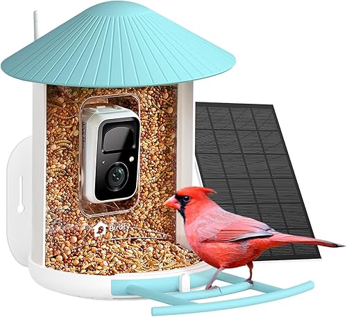 NETVUE by Birdfy - Comedero inteligente para pájaros con cámara, cámara de observación de aves, captura automática de videos de aves y detección de