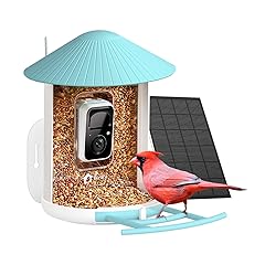 Netvue Birdfy Smart Bird Feeder Camera