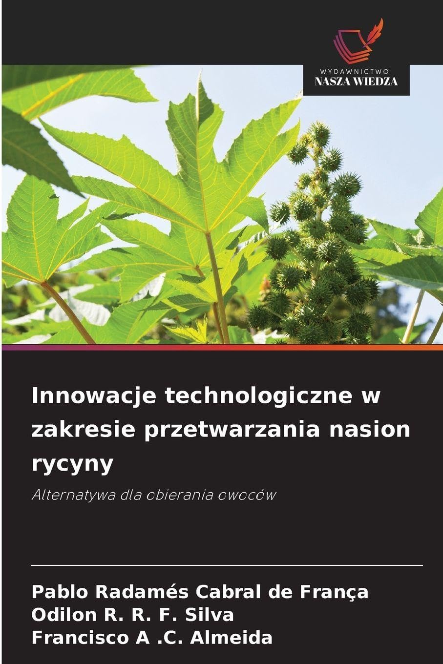 Innowacje technologiczne w zakresie przetwarzania nasion rycyny: Alternatywa dla obierania owoców