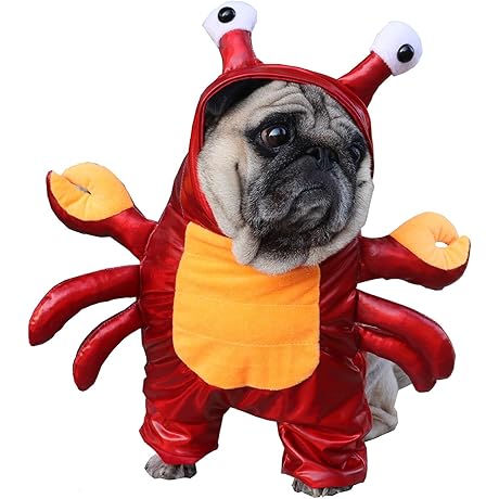 BAMY Lobster Dog Costume: A Clawsome Canine Craze