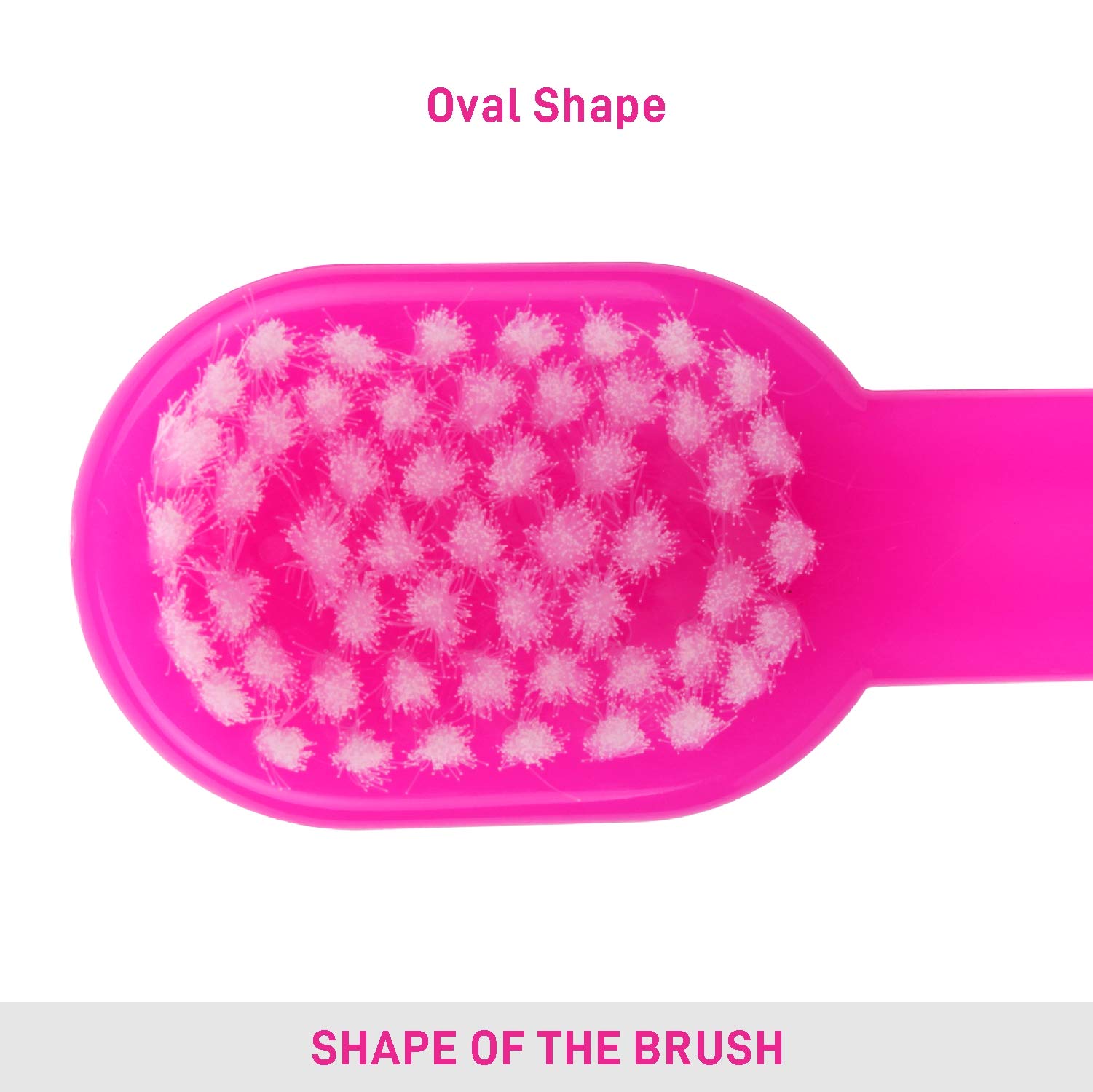 Vega Baby Hair Brush (India's No.1* Hair Brush Brand) with Soft Bristles For New Born Baby, Color May Vary, (9958) 2