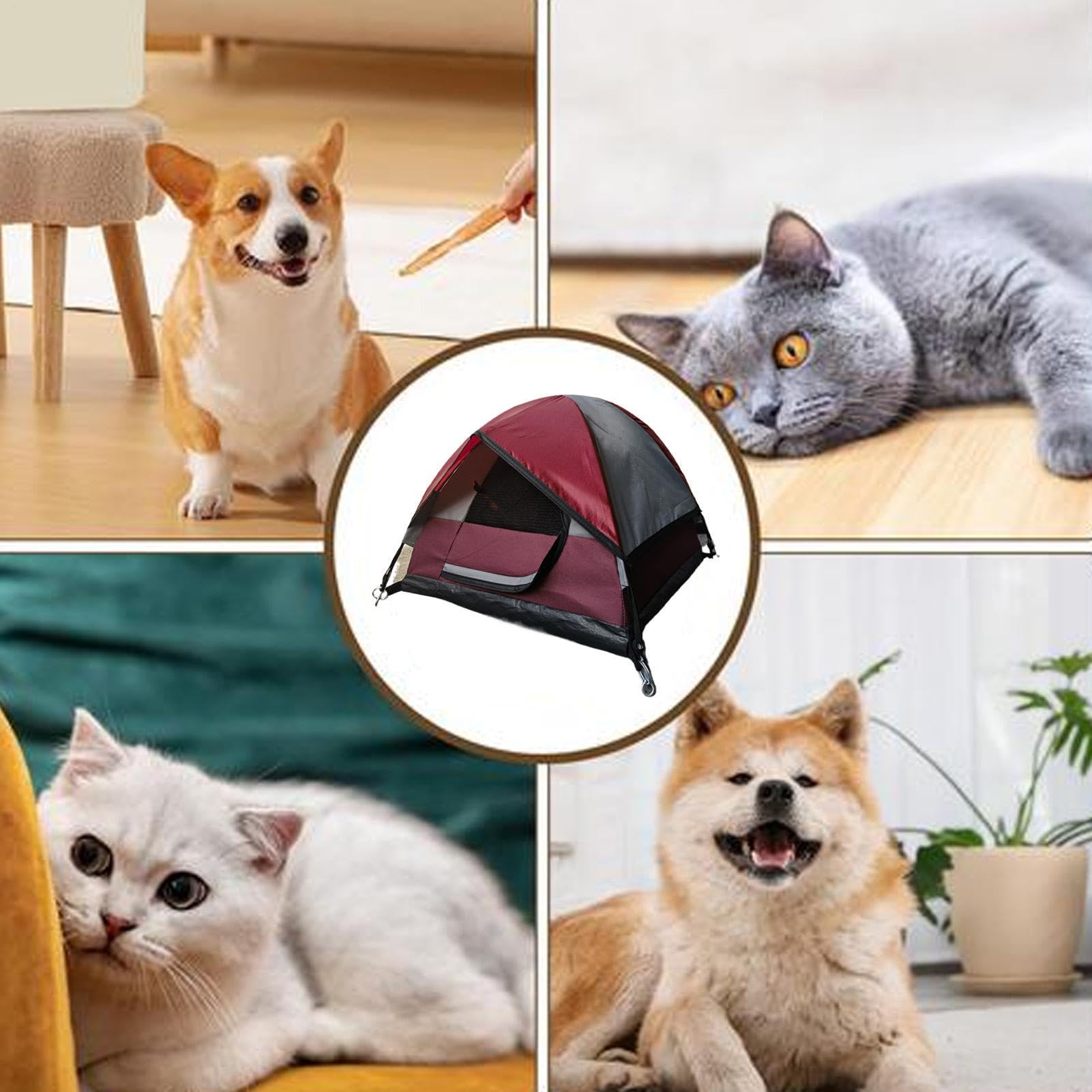 Generico Tenda da per gatti, Tenda da per gatti da campeggio per | Tenda per gatti impermeabile Tenda per animali domestici da esterno per cuccioli, cani, animali di piccola taglia