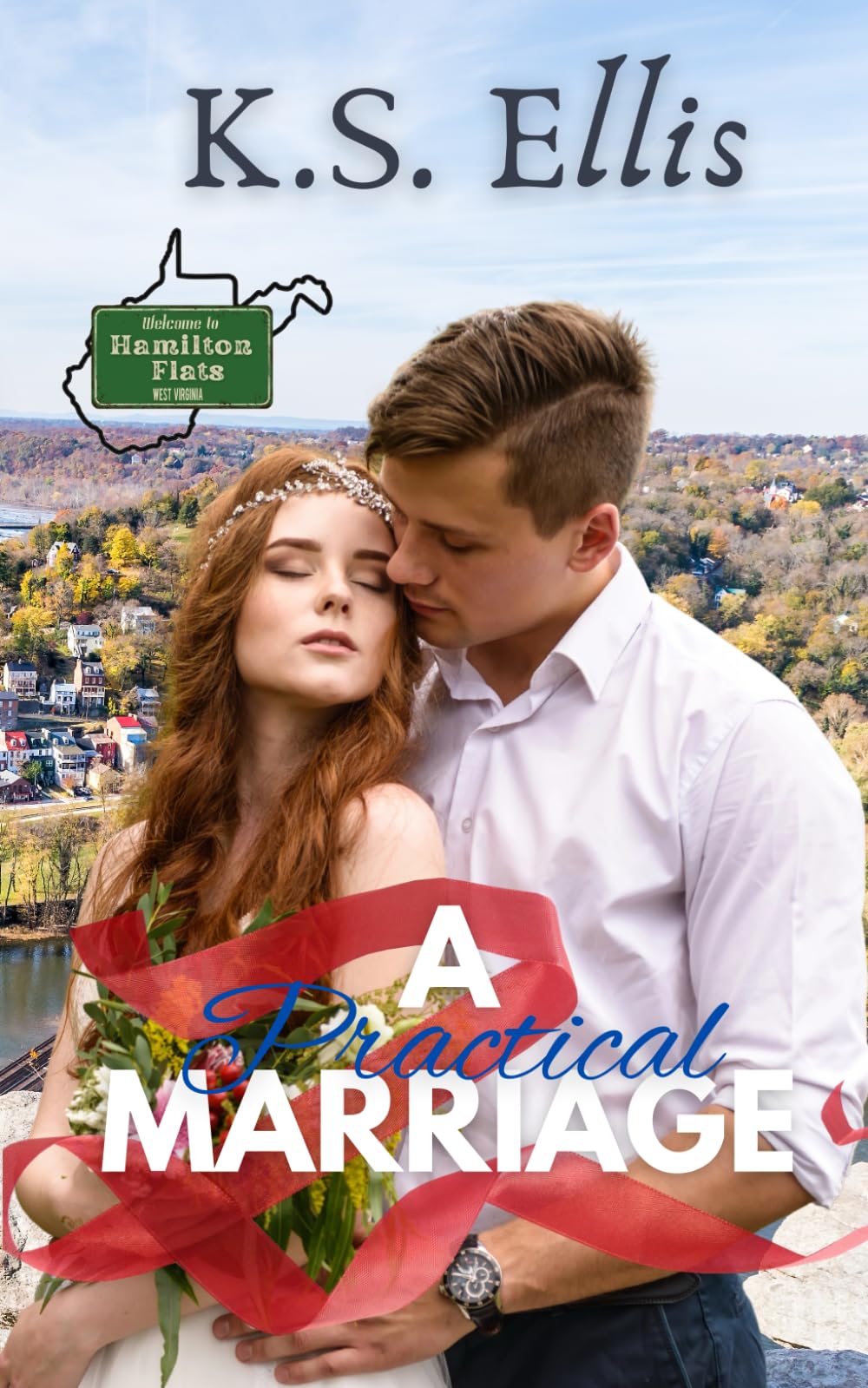 A Practical Marriage (Welcome to Hamilton Flats)