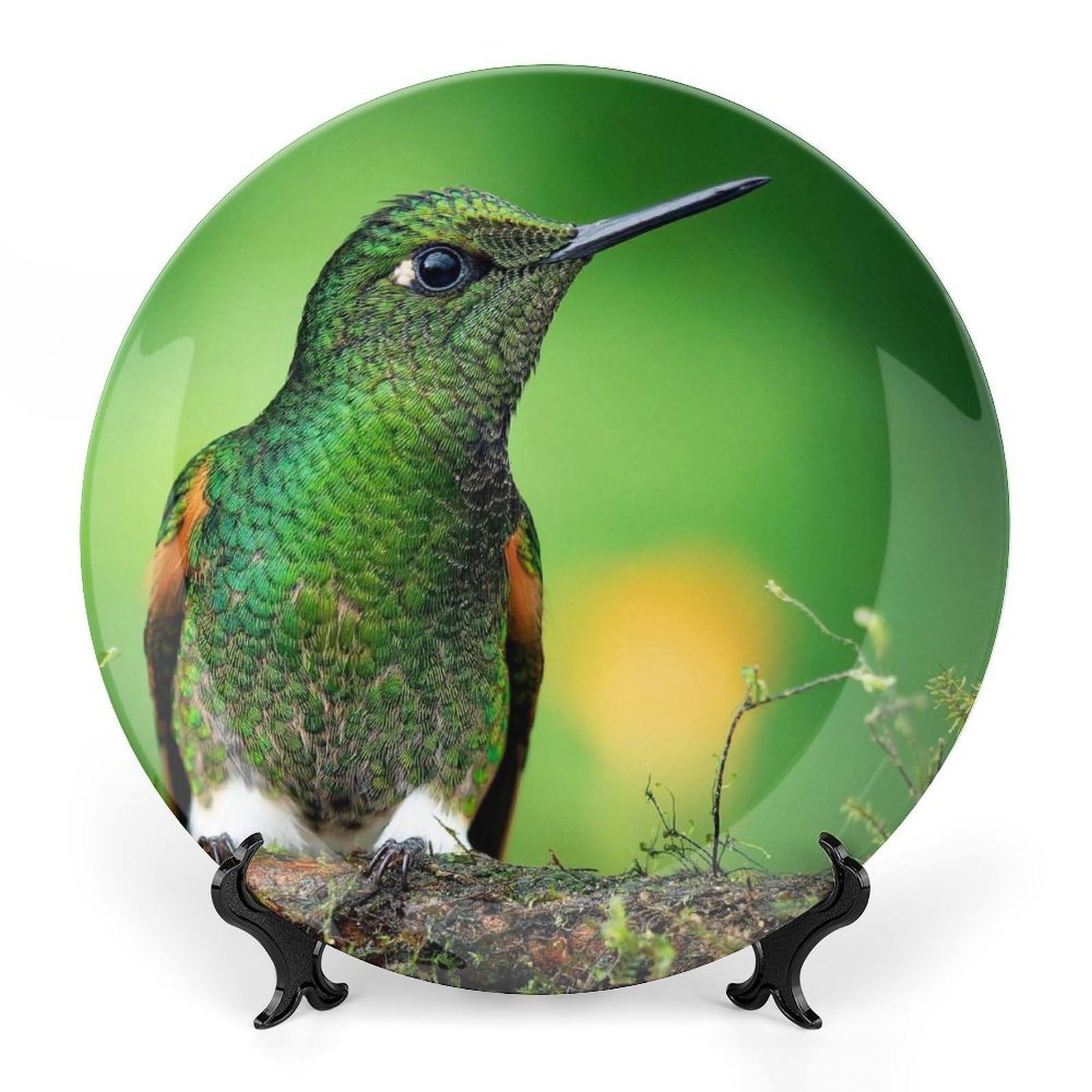  Humming Birds・ Curzon 　他皿合計 7枚 Set of 4 Hummingbird Stoneware Appetizer Plates | Hummingbird