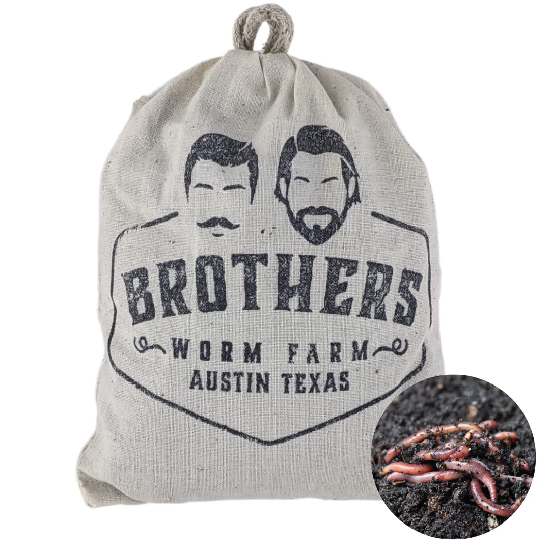 BROTHERS WORM FARM - 1/2 LB (~500) Red Wiggler Compost Worm Blend. Live Worms for Composting and Creating Worm Castings at Home. Ideal for Worm Composters, Gardens, and Worm Bins.