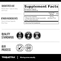 Vista 8 de AK-Postbio: Akkermansia Probiotic 30 mil millones de TFU - Fuerza máxima, dosis clínicamente validada y cepa patentada - Forma pasteurizada