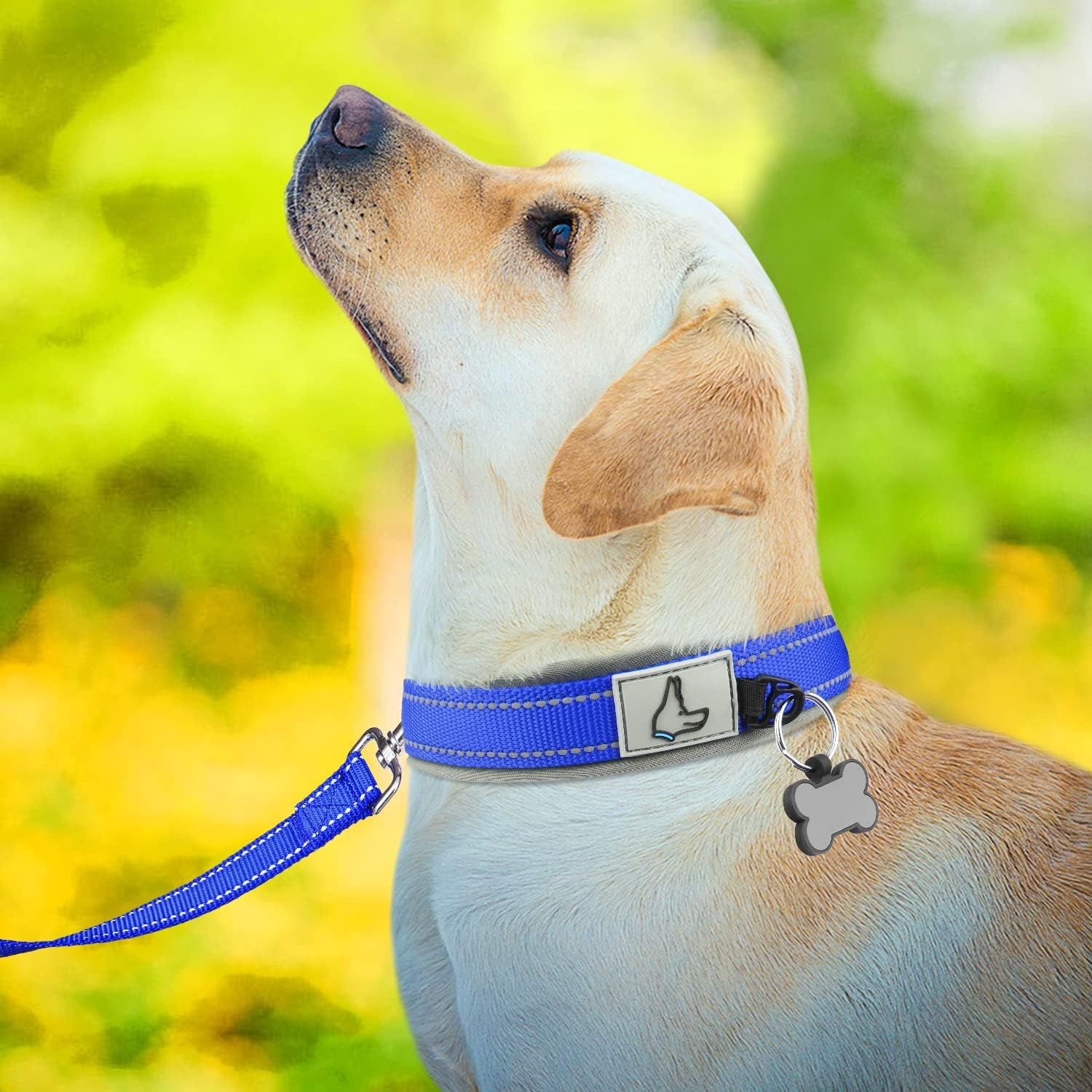 Joytale Dog Harness (Chest: 15-34"), Dog Collar and 6FT x 1" Wide Dog Leash Set, Reflective Neoprene Padded Collar and Leash, and Adjustable Soft Harness with Handle for Dogs