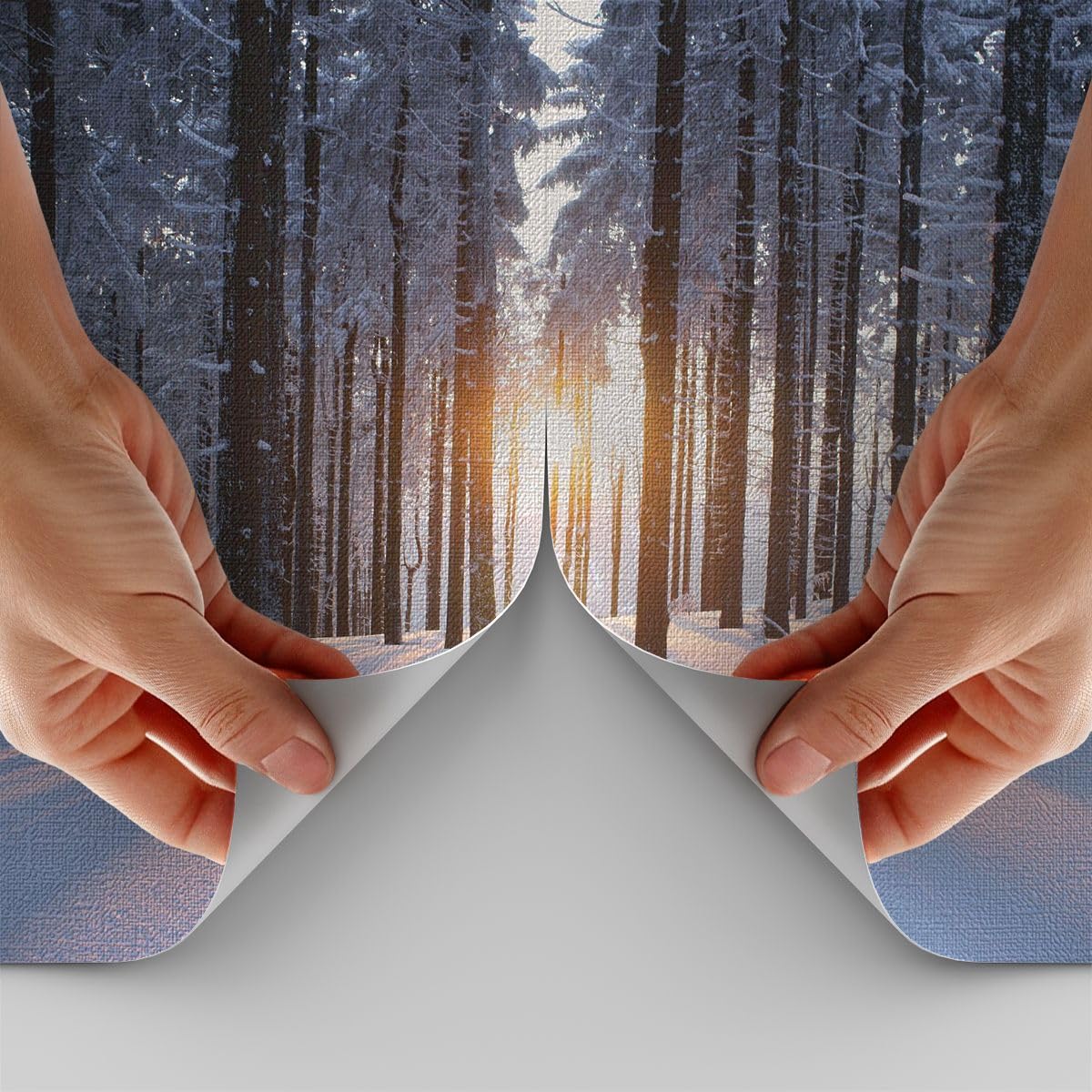 Carta da Parati Vinile in TNT 150x105 cm Paesaggi Foresta - 3629 - WF3 | Inverno Nevicare Premium Canvas Fotomurale Moderno Decorazione da Parete Murale da Parete Per Soggiorno ARTTOR