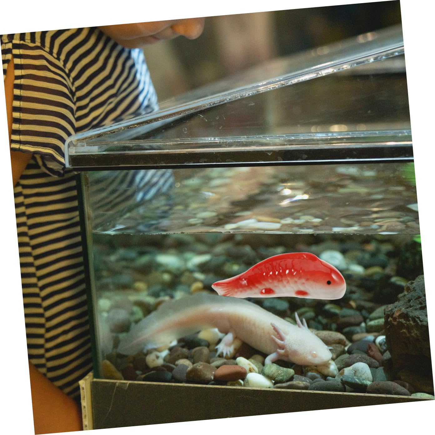 BESPORTBLE 5stücke Dekorative Keramik Fische Für Aquarien Schwimmende Cartoon-fischstatue Langlebige Aquarium-deko Für Unterwasserlandschaften Und Fischtank-zubehör