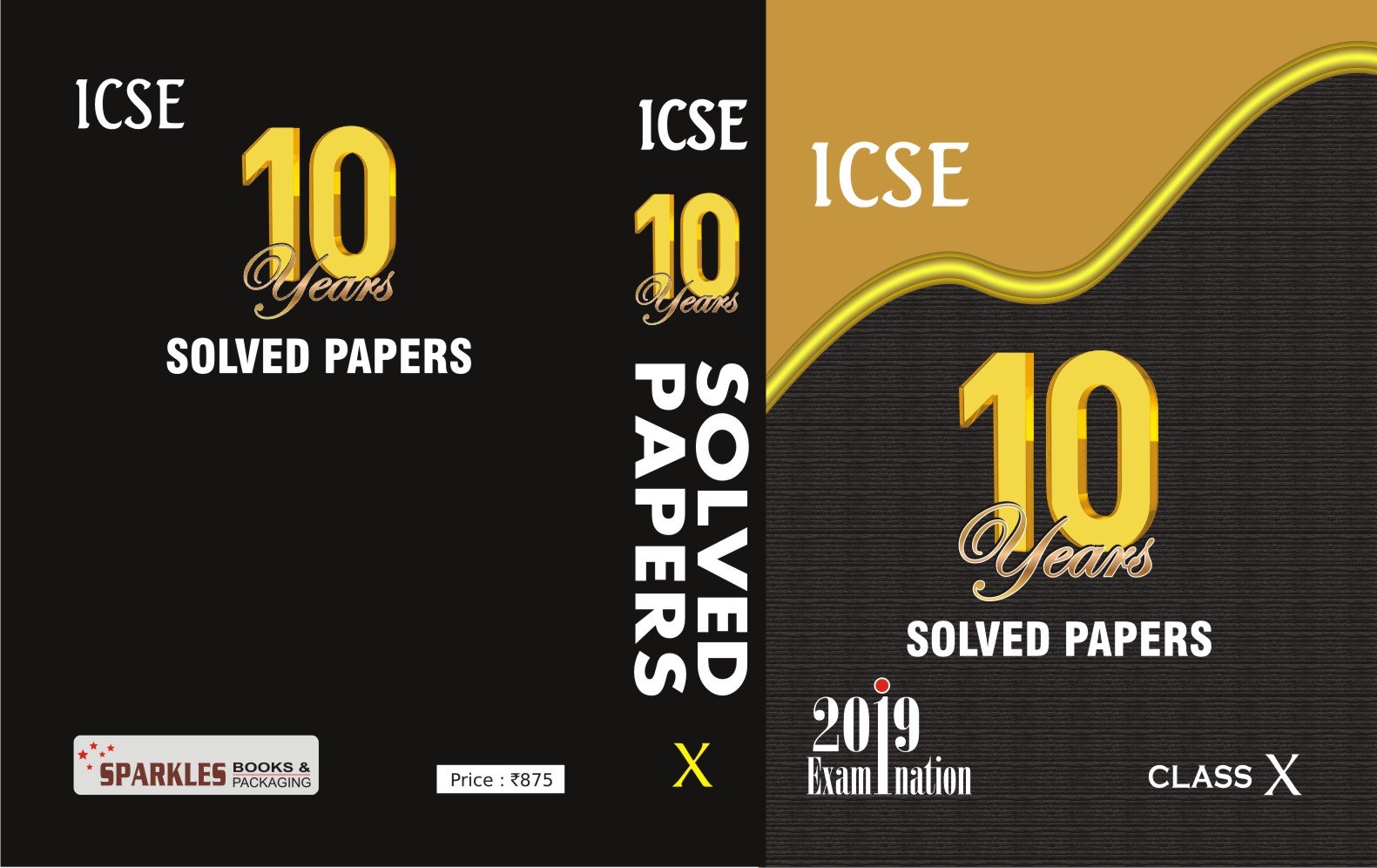 10 Years Solved Papers: ICSE 10 Year for 2019 Examination Class X (ICSE Ten Year - Class 10) (Old Edition) 1