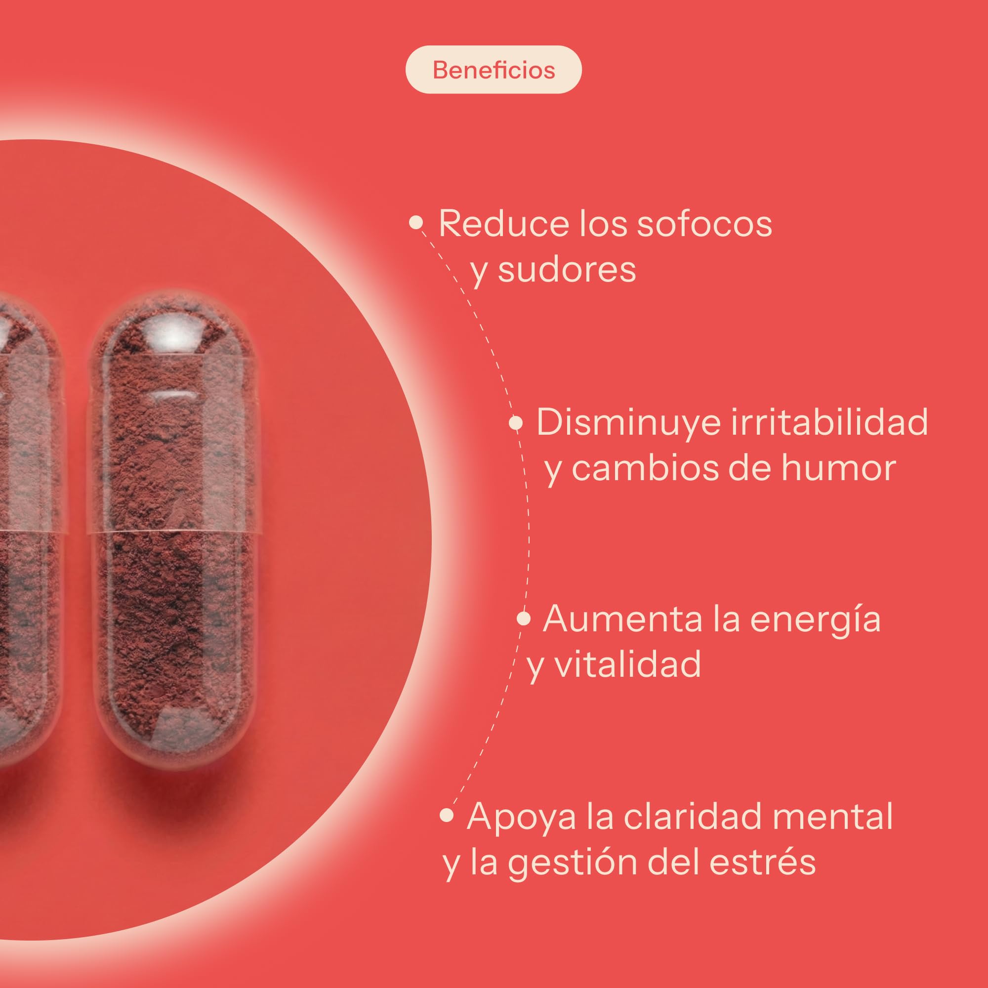 DOMMA Equilibrio Menopausia, Sofocos, Cansancio y Bienestar, 56 Cápsulas | Multivitamínico Mujer, Ashwagandha, Rhodiola, Shatavari, 12 Vitaminas y Minerales, Natural, Vegano, Sin Gluten