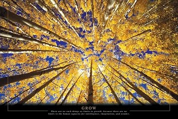 Grow - Trees Poster 36 x 24in