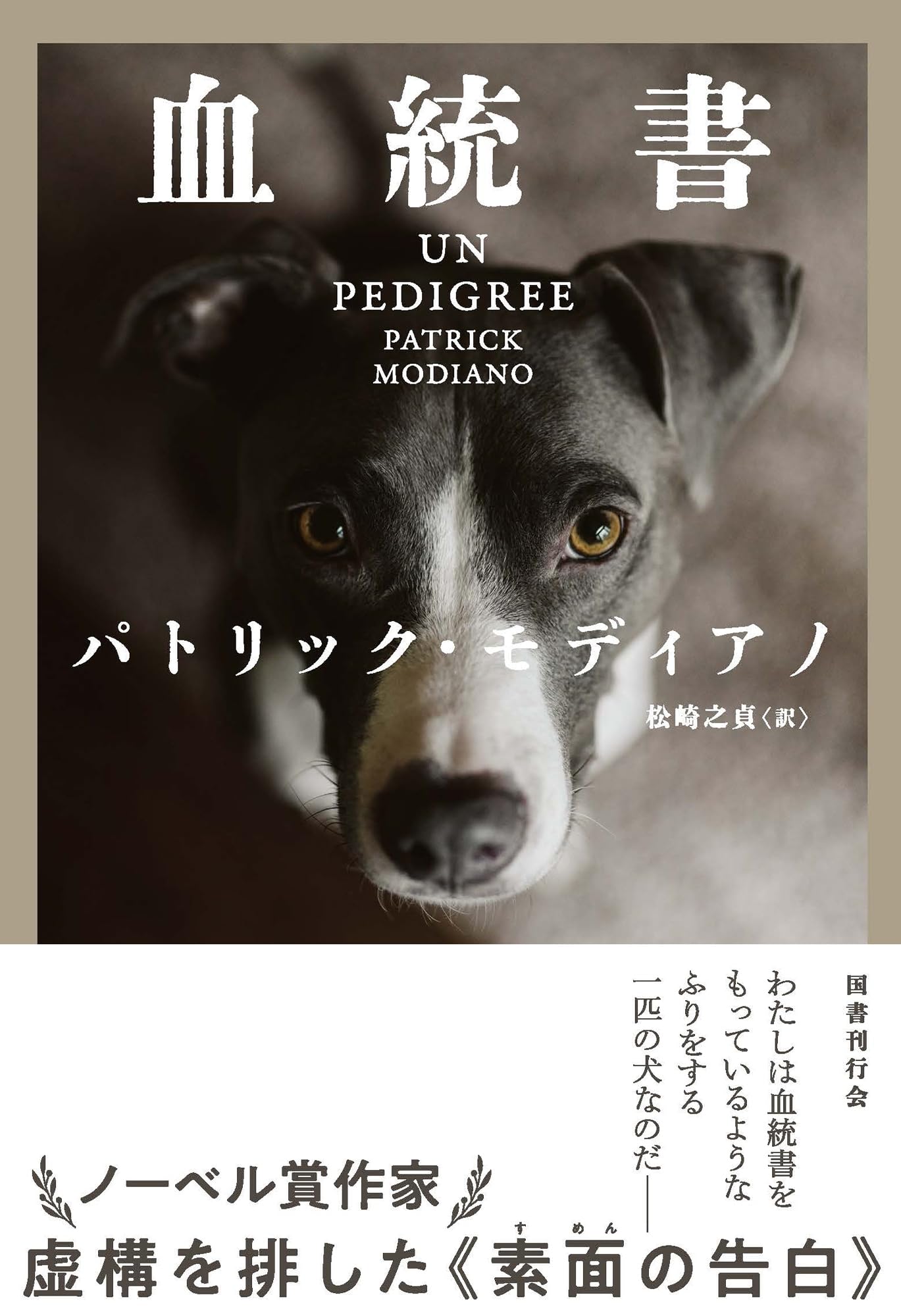 Amazon.co.jp: 血統書 : パトリック・モディアノ, 松崎之貞: 本