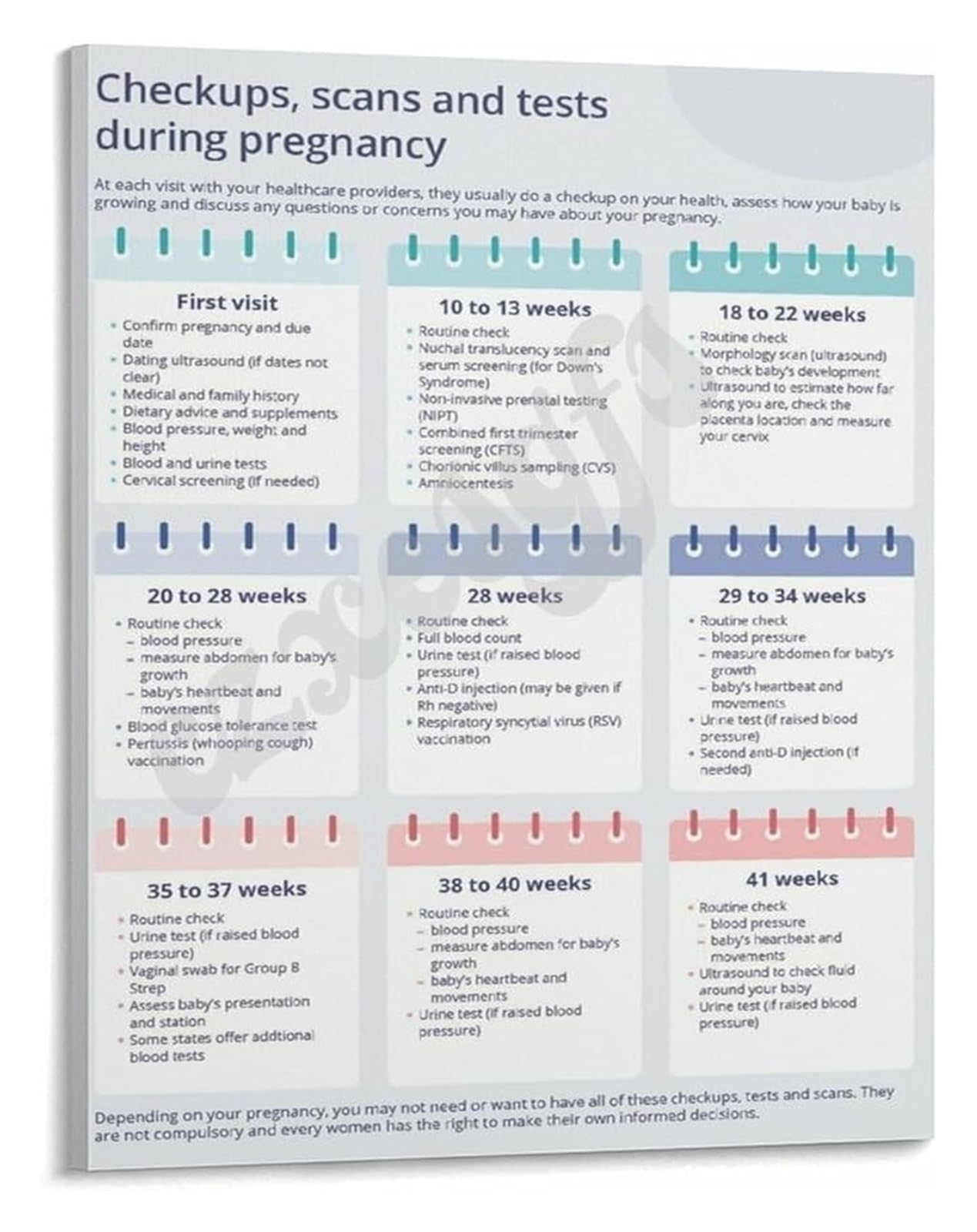 FOPURE Expecting Mothers Reference Poster Pregnancy Checkups Scans and Essential Tests for OB GYN Clinic Education