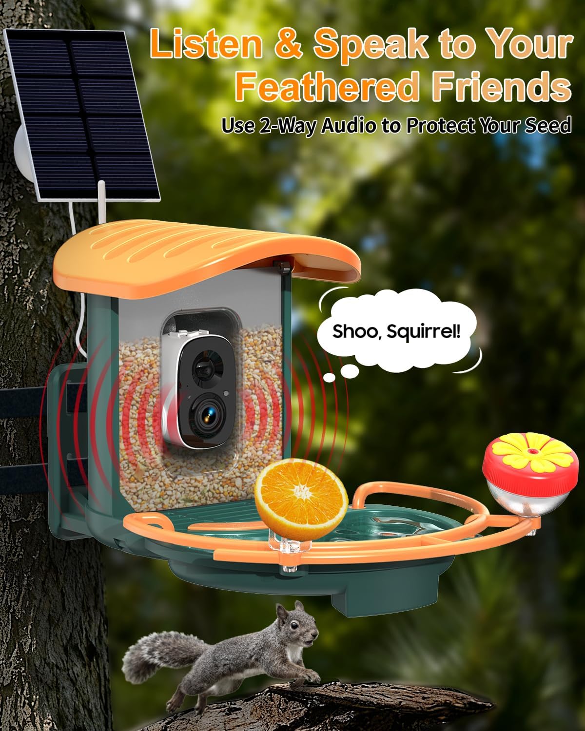 Bird Feeder Camera with 2K HD Camera, 11000+ AI Birds Recognition Birdfeeder with Bath, Solar Powered Birds Watching, App Control, Color Night Vision, Gift Box Package, Easy Install & Family Sharing
