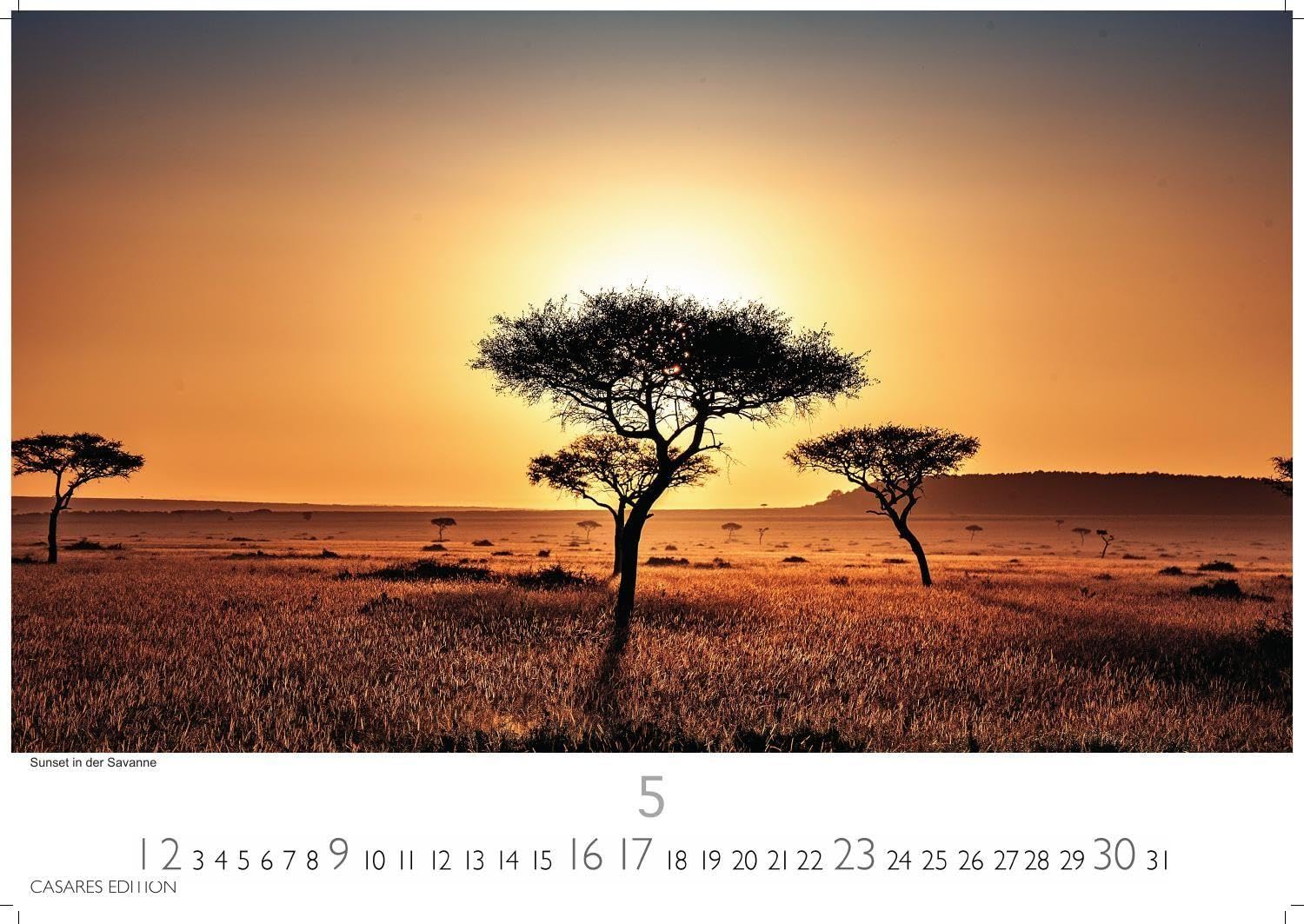 Kenia & Serengheti Kalender 2027 - Wandkalender | Fotokalender Afrika 35x50cm - Wunderschöne Tierkalender- und Naturschutzfotos.