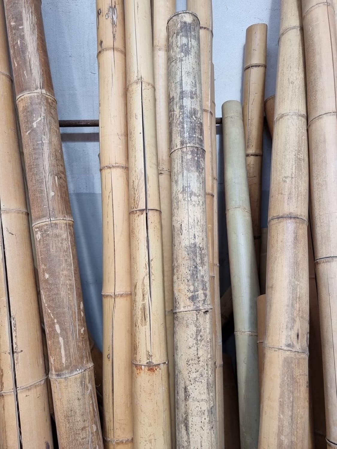 Canna di Bambù Gigante MOSO (CM 200 Ø 7/11) – TERZA SCELTA - CON FESSURE - Canne di Bamboo Naturale Decorativo per Arredo Casa, Giardino, Recinzione, Fai-da-Te e Design Outdoor Indoor