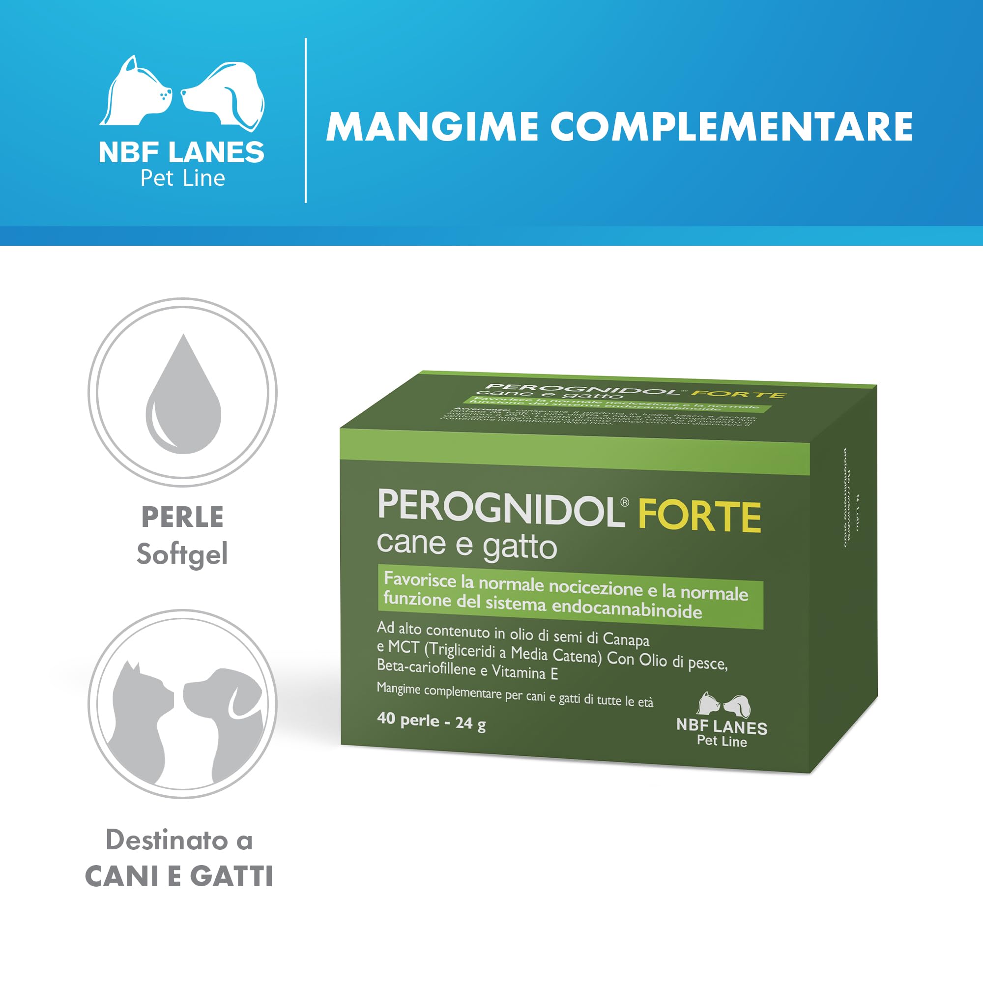 NBF Lanes | Perognidol FORTE Cane e Gatto, 40 perle, Favorisce la Normale Nocicezione e la Normale Funzione del Sistema Endocannabinoide