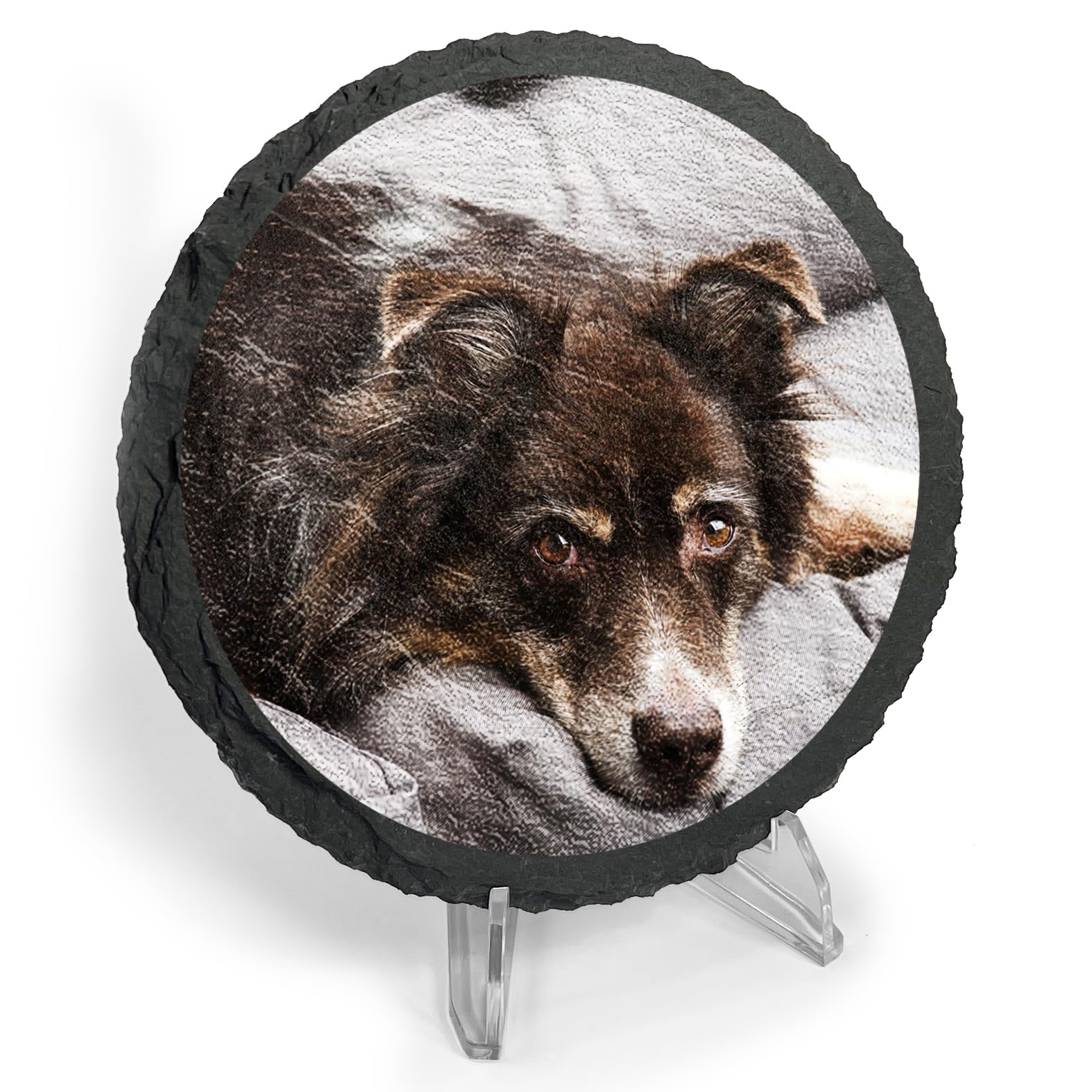 1 Personalised Customised Image Choice Occasion Slate Photo Tile Drinks Coaster Standing Keepsake Gift Present 100mm diameter Primary Teaching Services (Circular - With Stand)