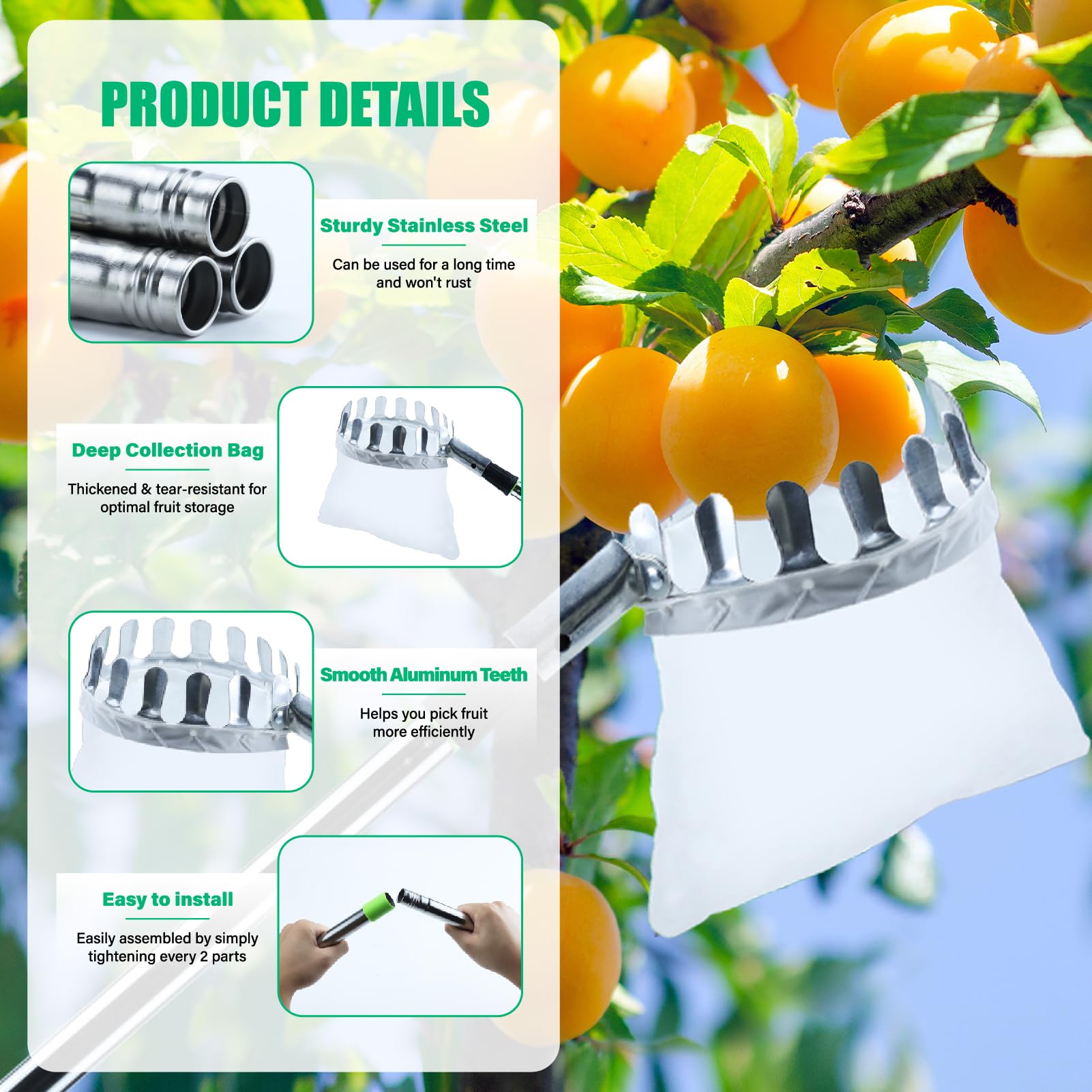 Recogedor Frutas Telescopico, 3.9M Recogedor de Frutas con Varillas de Extensión, Recoge Frutas de árboles con Bolsa de Algodón, Frutas Herramientas Recolectoras para Manzanas, Naranjas, Peras