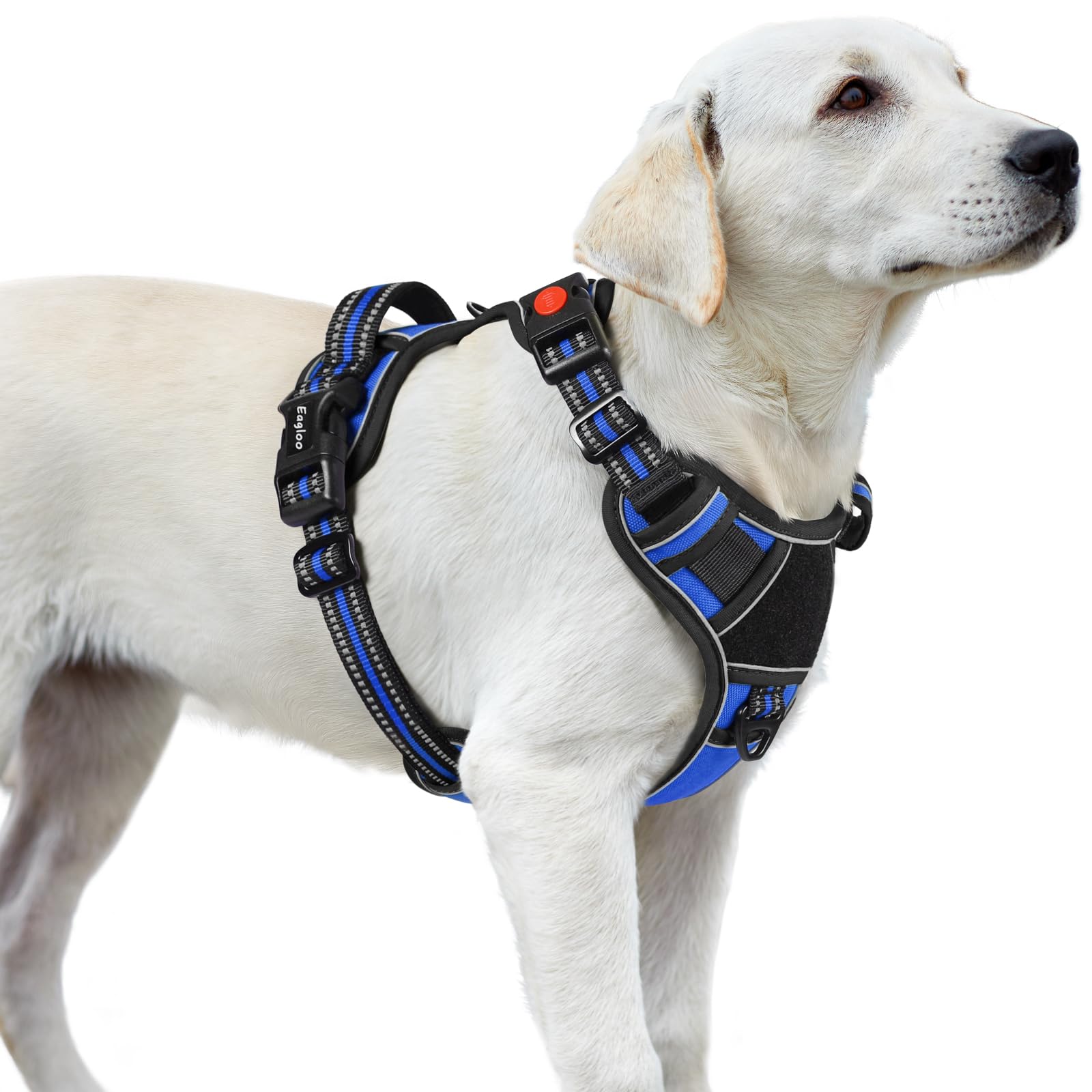 Eagloo Dog Harness for Large Dogs, Easy to Wear & Adjustable with 3 Buckles