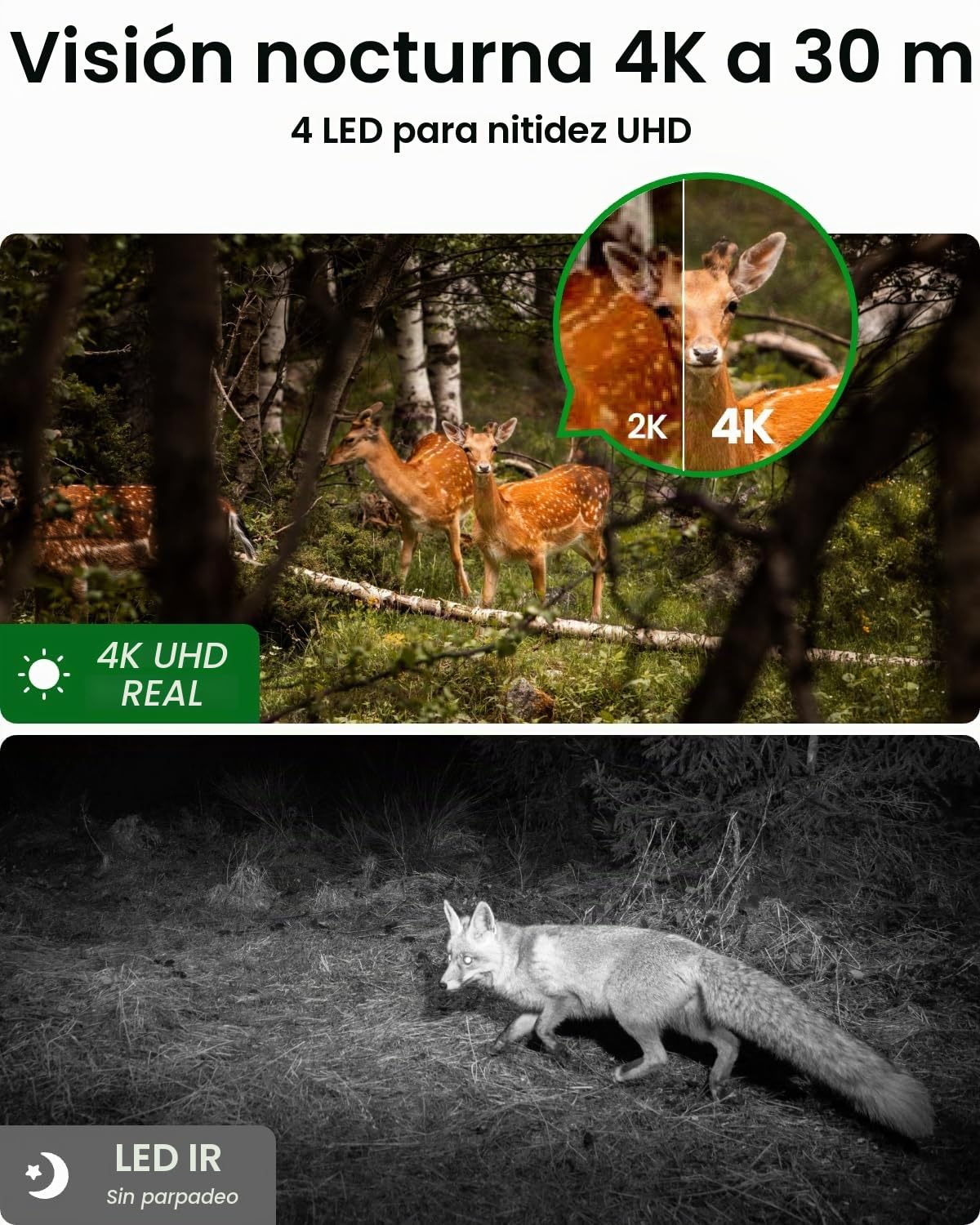 Reolink 4K 3G/4G Camara Vigilancia Exterior con Tarjeta SIM, Visión Nocturna, Detección de AI, Batería Recargable, Go Ranger PT + 6W Panel Solar + Candado de Cable para cámara de Sendero