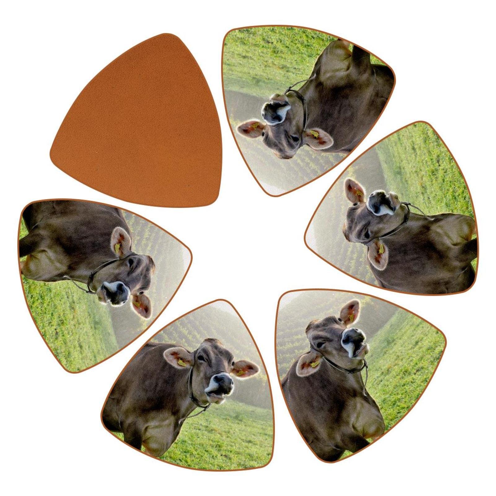 Animal Cow Ranch Prairie Coasters for Table 6 Pieces Triangle Personalized Drink Coasters Home Decor