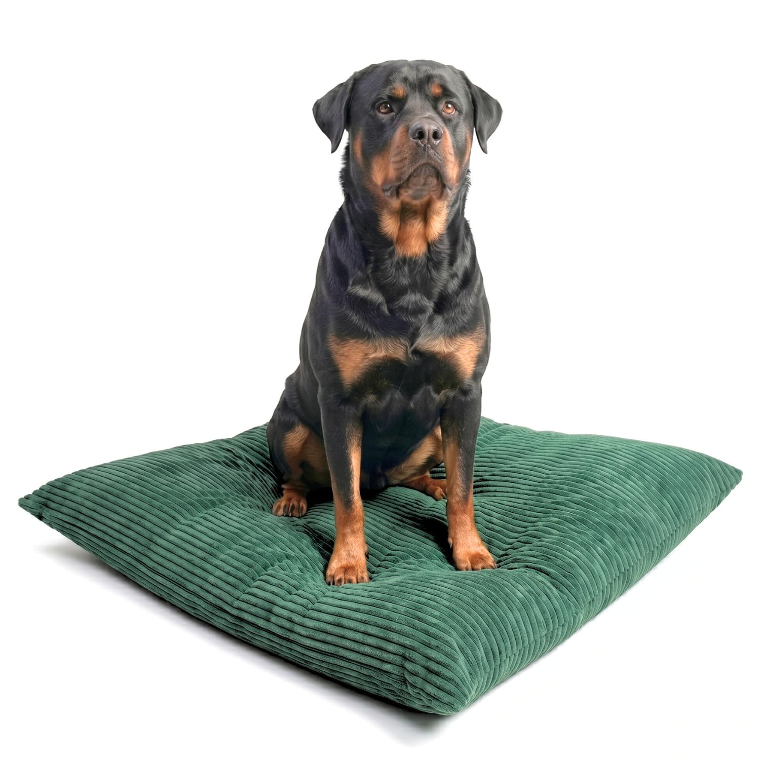 4L Textil ZOE Cojín para Perros Mullido de Pana, con Funda y Cremallera, Cómodo y Lavable (100x80 cm, Verde(Rayas)) | 100 x 80 cm | verde | funda extraíble | con cremallera | lavable a máquina