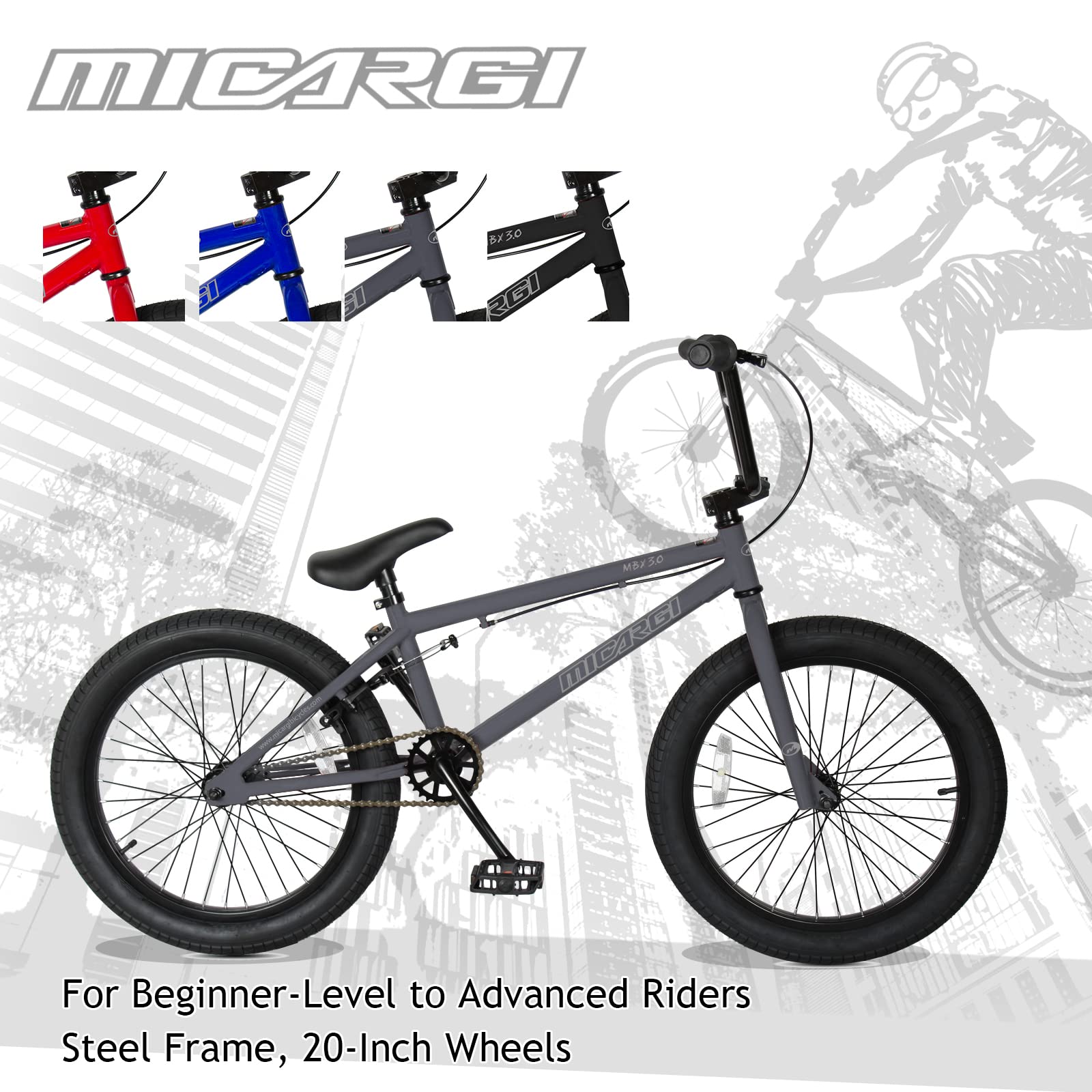 メーカー不明　BMX 20インチ vans グレー メーカー不明 BMX 20インチ vans グレー メーカー不明 BMX 20