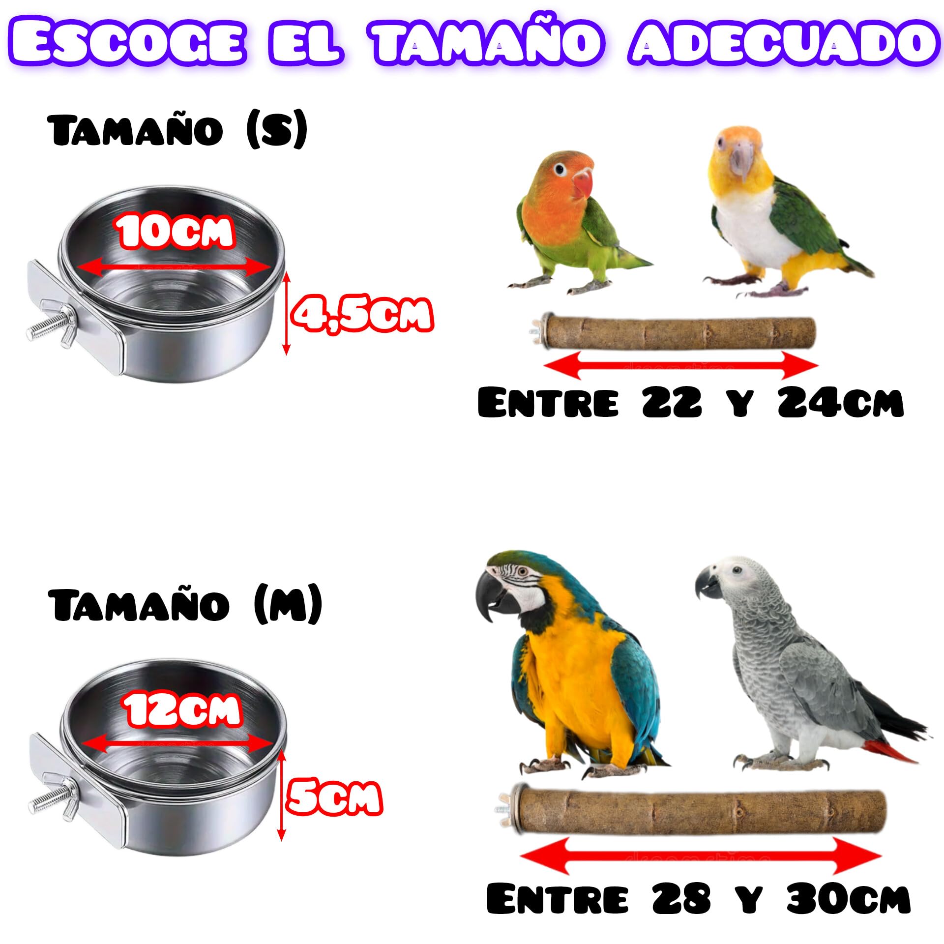 2+2 und comederos de acero inoxidable y perchas para jaula de loro yaco, guacamayo, cuencos 10 y 12cm para pienso y semillas de pájaros agaporni, ninfa, accesorios aviario y voladera de aves. (S)