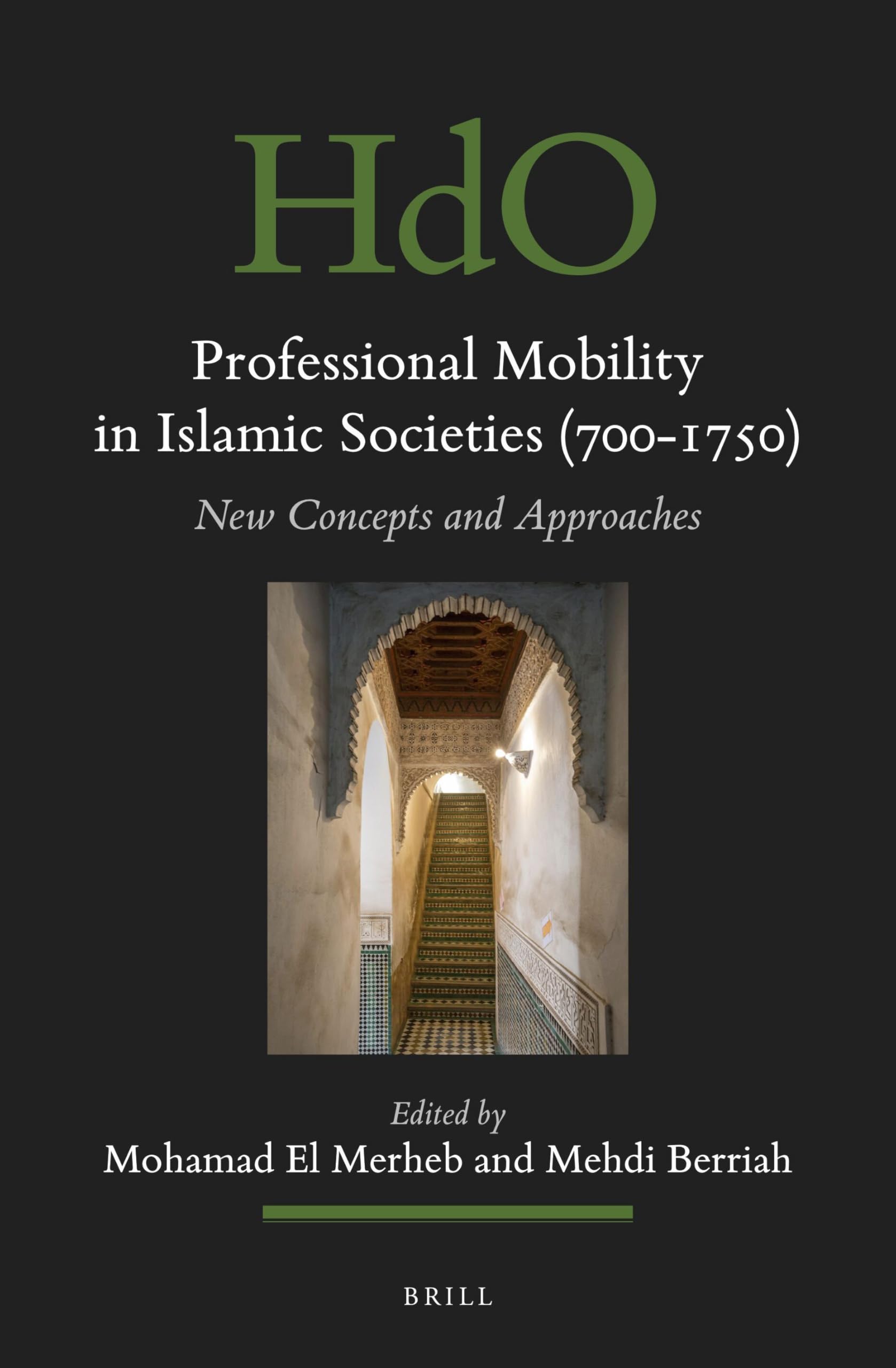 Professional Mobility in Islamic Societies (700-1750): New Concepts and Approaches: 157 (Handbook of Oriental Studies. Section 1 The Near and Middle East, 157)