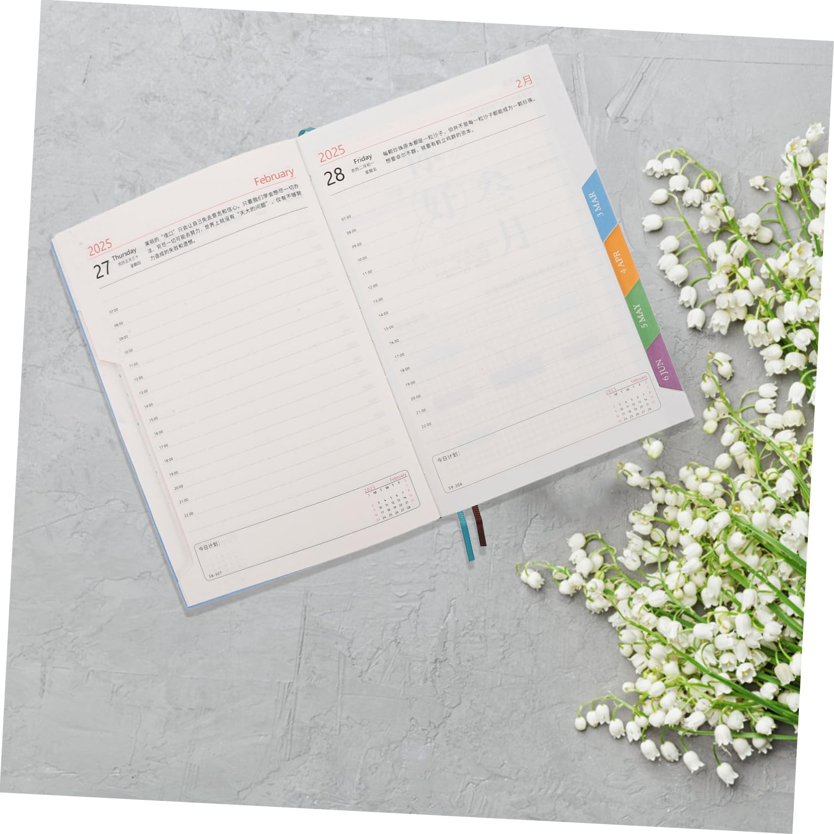 SHOWERORO Agenda Giornaliera 2025 Quaderno Datato Calendario Accademico Quaderno Con Linguette Mensili Delle Cose Agenda Organizer Per Casa Ufficio Scuola