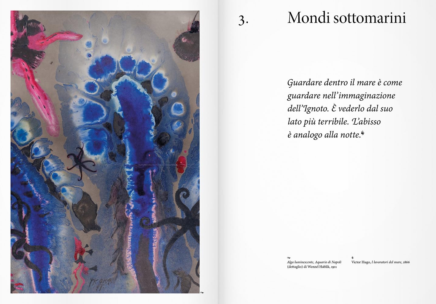 Mondi sotterranei. Un viaggio affascinante sotto la superficie alla scoperta di universi reali e immaginari. Ediz. a colori