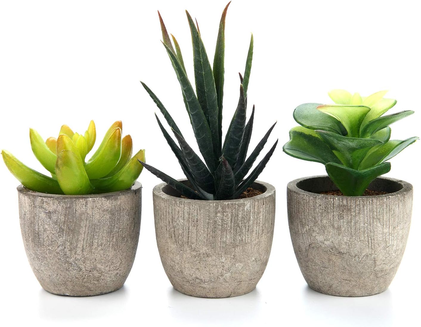 Artificial Succulent Plants Series Plastic Decorative Grass Collection 2 of T4U, Pack of 3