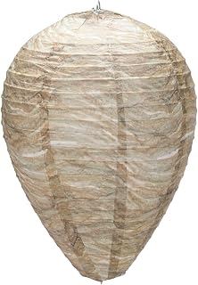 Wasp Scare Hive Set of 2 by Pest B Gone