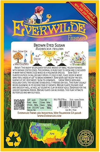 Miniatura 2 de Everwilde Farms - 2000 semillas de flores silvestres nativas de Susan de ojos marrones - Paquete de semillas jumbo Gold Vault