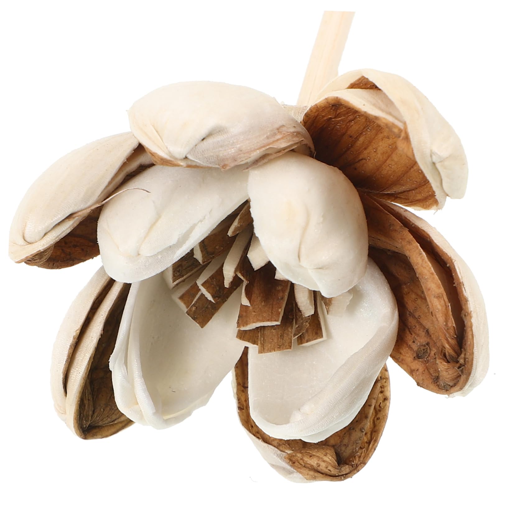 STOBOK 20stücke Dekorative Aromadiffusoren Mit Holzstäbchen Duftende Kunstblumen Für Raumduft Für Schlafzimmer Und Badezimmer Aromatherapie Transparente Stäbchen