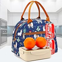 Vista 7 de Bolsa de almuerzo aislada FlowFly - Bolsa de asas organizadora para mujeres/hombres, Alpaca