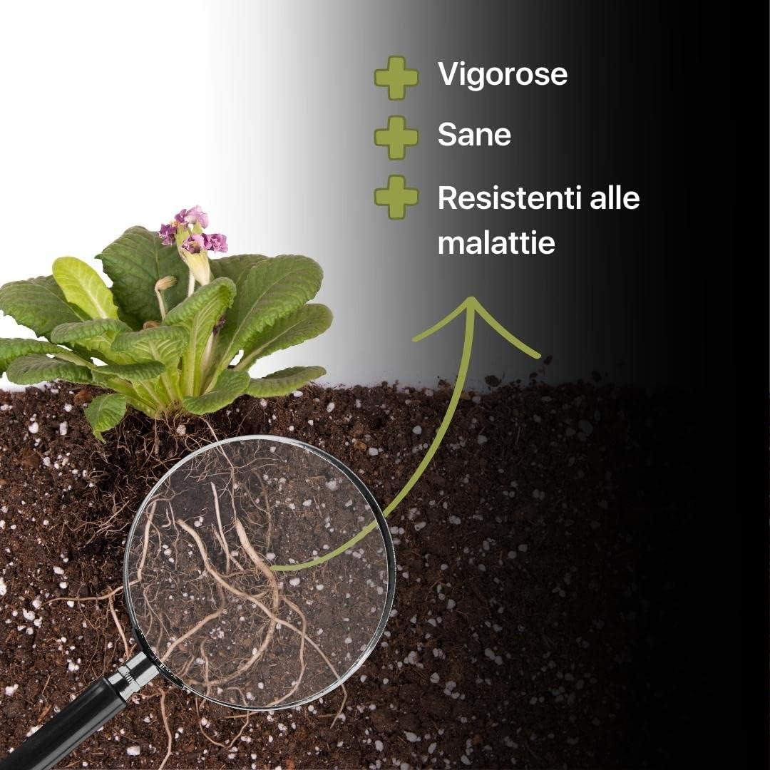 ZOMA RADINAT 100% naturalny proszek do ukorzeniania sadzonek, proszek ukorzeniający z grzybami rozwijającymi się i kiełkującymi, biostymulator korzeni