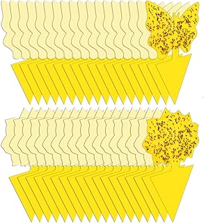36 Pack Sticky Traps Plant Trap for Fungus Gnat, Fruit Fly Traps for Mosquito and Bug Indoor & Outdoor, Pest Insect Catche...