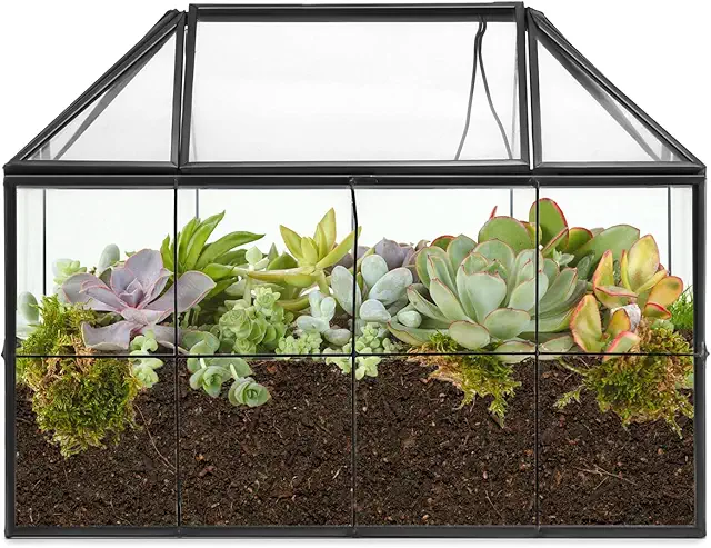 Terrario Geométrico QWORK para Cactus y Suculentas - Negro 22x13.5x18.5cm