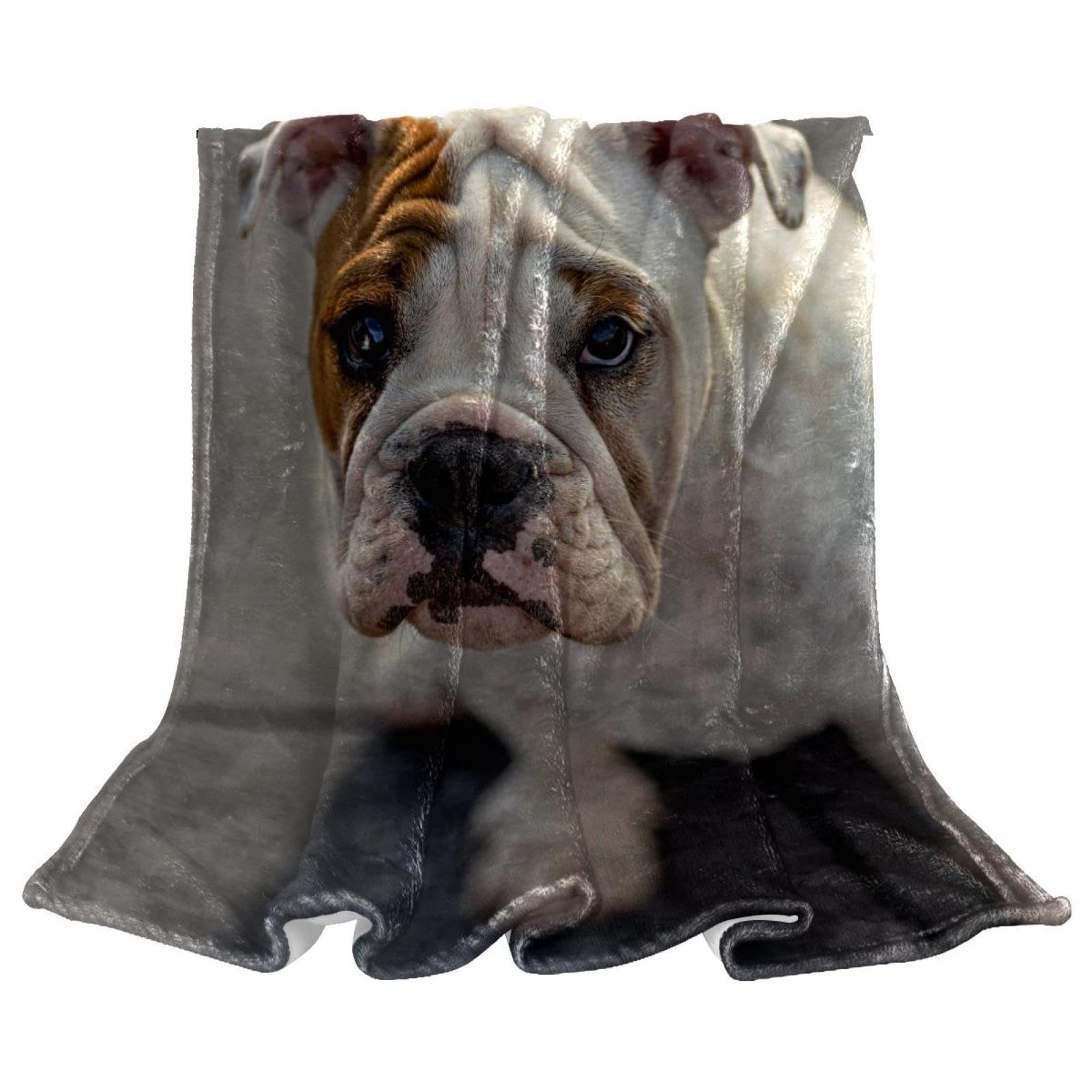 Couverture Polaire Chien D'arrêt Couverture Microfibre Chaude Et Douce Jeté De Canapé Couverture 150×200cm