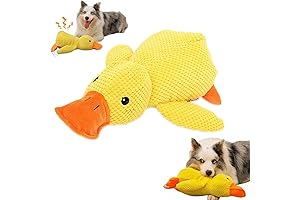 Moiasun Indestructible Teddy Tough for Dogs: Ridiculously Durable Emotional Support Toy