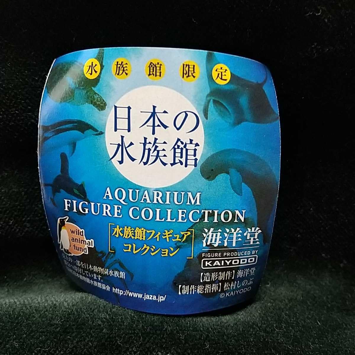Amazon.co.jp: カマイルカ 日本の水族館 海洋堂 水族館限定