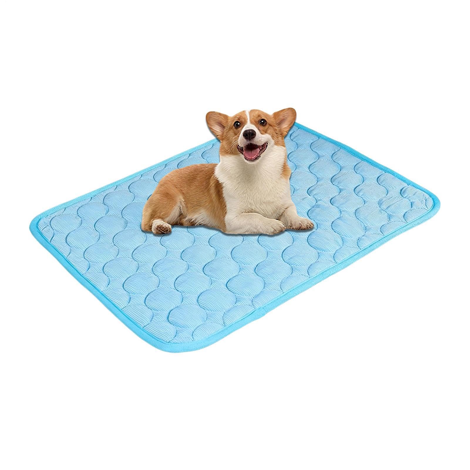 Tappetino Rinfrescante Canino, Tappeto Refrigerante Lavabile Effetto Ghiaccio, Tappetino Autorinfrescante 100x75 cm Per Animali, Per Cani Piccoli Grandi E Gattini Trasportino Canile Pavimento Divano C