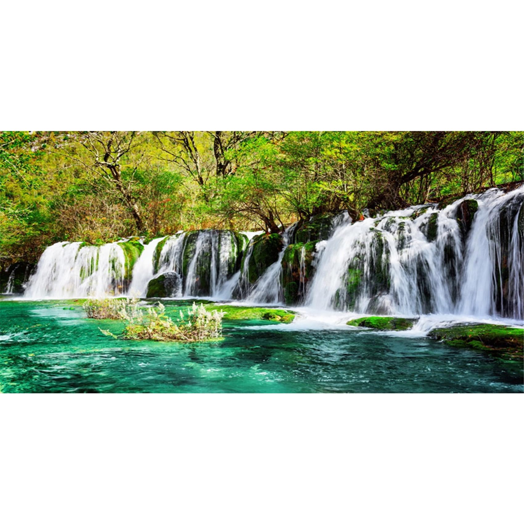 MIRRORANG 180x61cm Waterfall Terrarium Background Tropical Rainforest Aquarium Background Lake Trees Reptile Habitat Background Vinyl Background