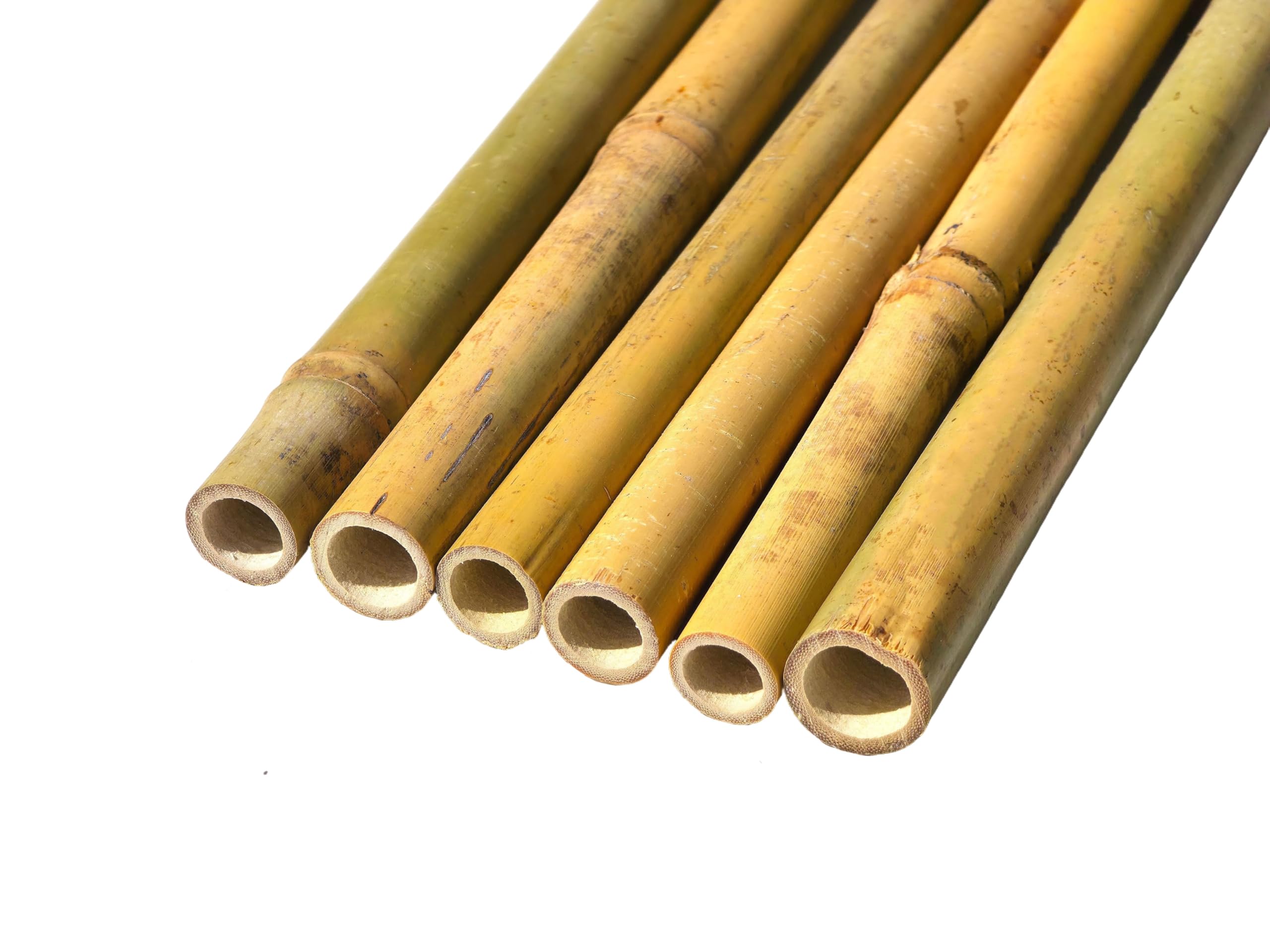 Professional Heavy Duty 2FT, 3FT, 4FT, 5FT, 6FT, 7FT Strong Bamboo Plant Stakes Plant Support Canes, Best for Early Growth Young Plants and Trees-Available in Different Packs (100, 6ft, 14-16 mm)