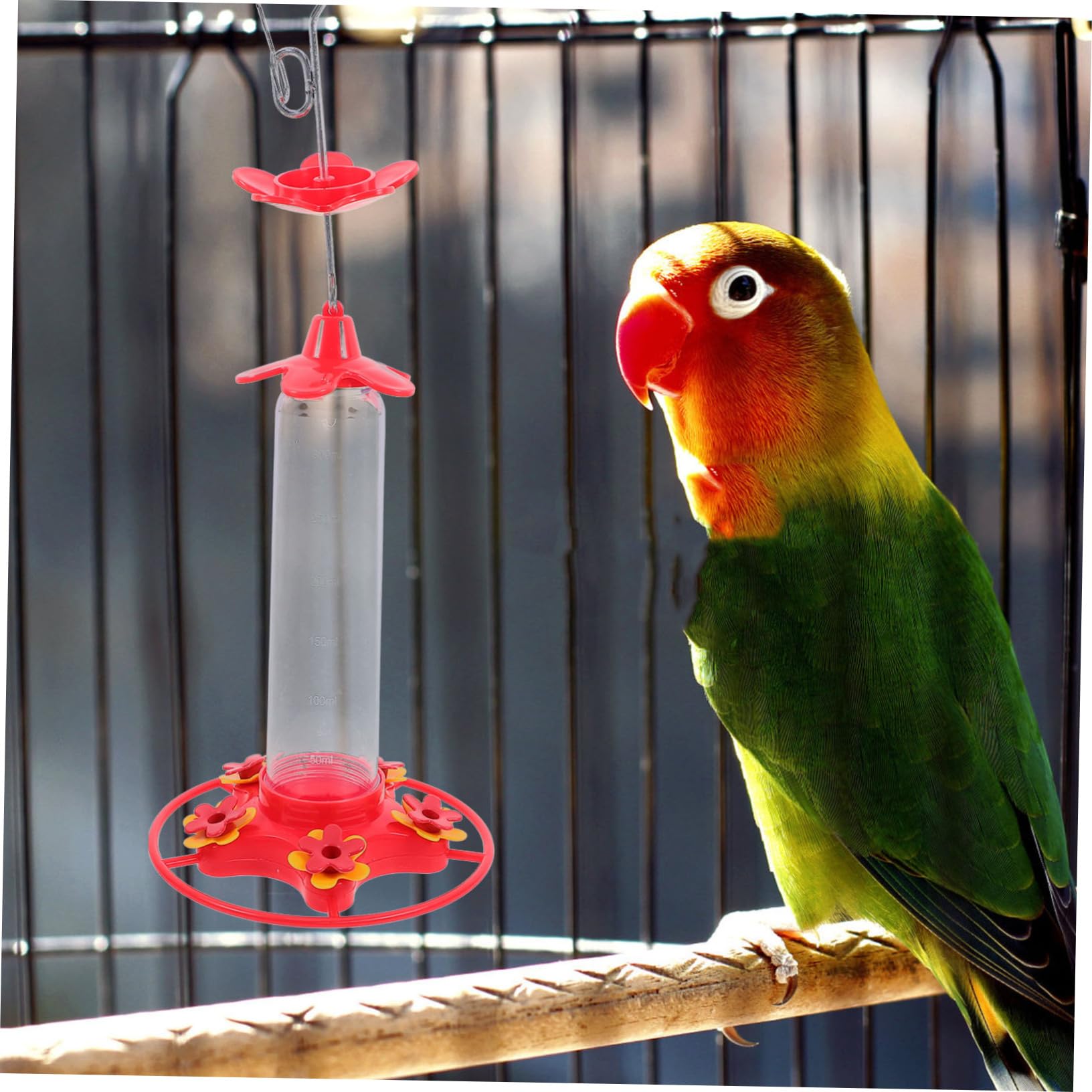 2pezzi Mangiatoia per Colibrì Sospesa Mangiatoia Decorativa per Uccelli Contenitore per Cibo per Uccelli da Giardino