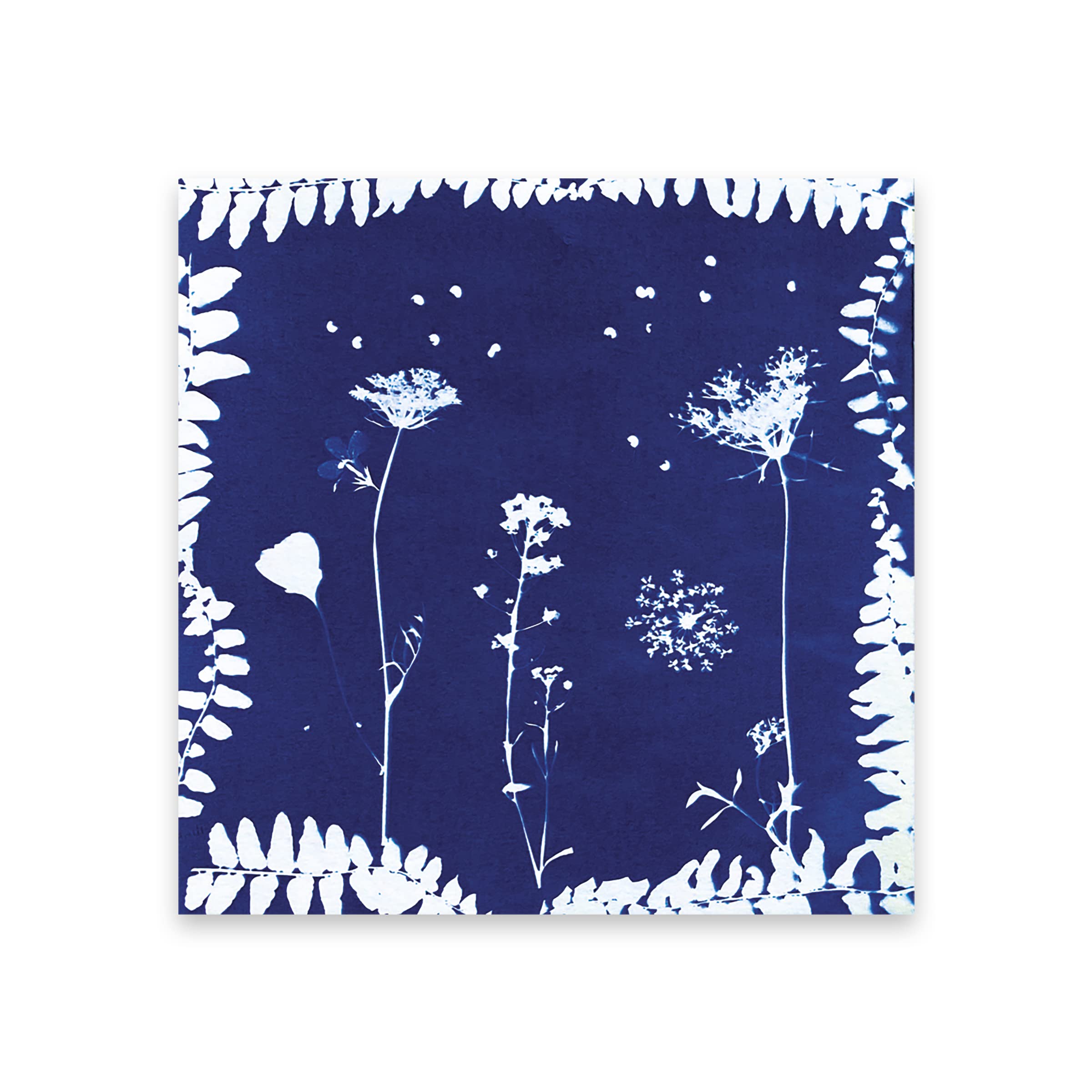 Janod - Kit Presse à Fleurs Enfant - 6 Activités à Réaliser - Les Ateliers Déco - Kit Loisir Créatif Enfant - Motricité Fine et Concentration - Dès 7 Ans, J07879